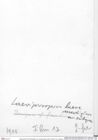 Historisches Foto (Rückseite) von Laeviprosopon laeve medium nov. subspec. (NHMW-AFW-GEO-BACHMAYER-FOTO-1990-0041-1900)